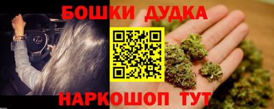 прущие грибы Лесосибирск