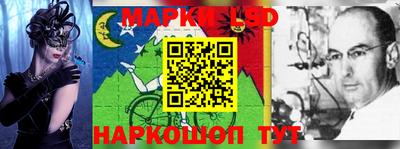 прущие грибы Лесосибирск