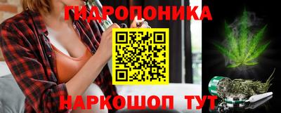 прущие грибы Лесосибирск
