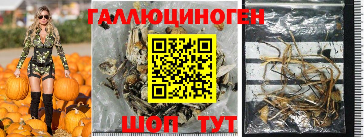 Псилоцибиновые грибы мухоморы Уссурийск